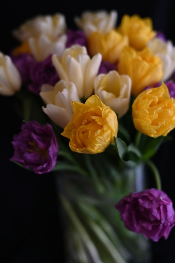 Photograph by Анна Глаговская