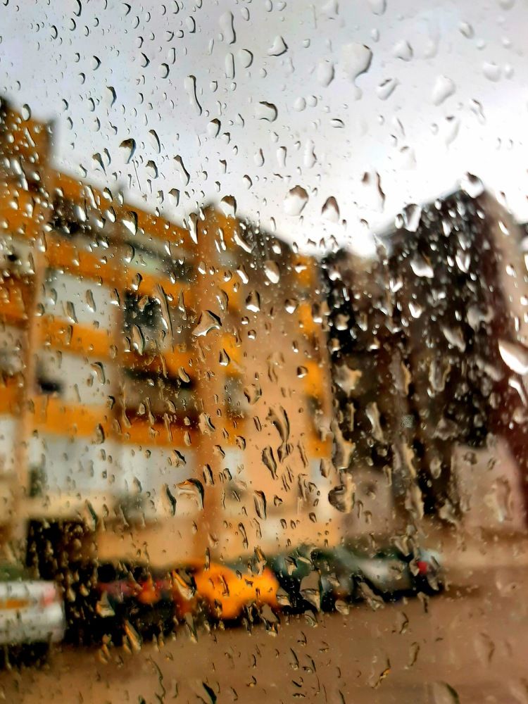 Photograph by virgilija61 Motejunaite