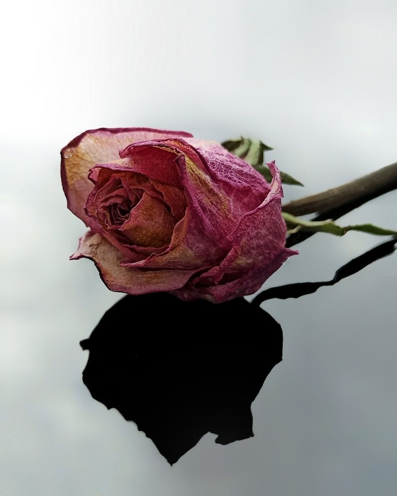 Photograph by Максим Лапин