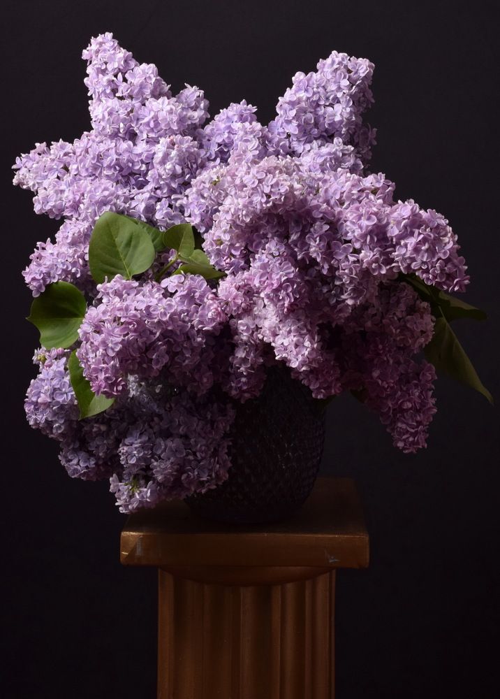 Photograph by Regina Belomytseva-Dahan