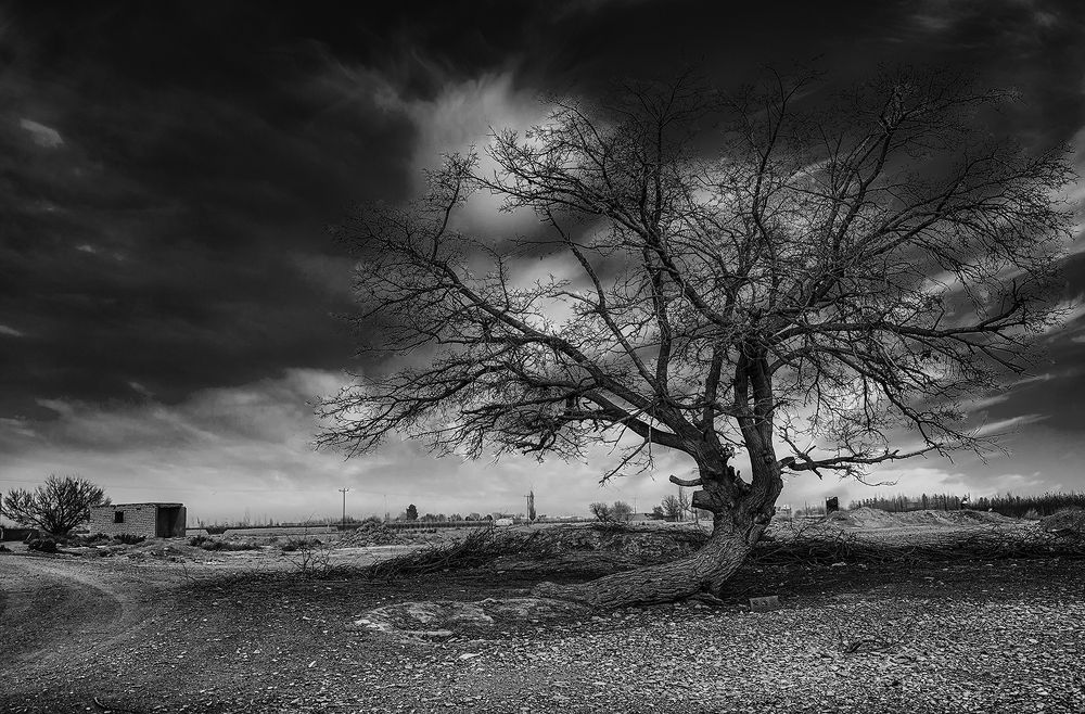 Photograph by Hengameh pirooz