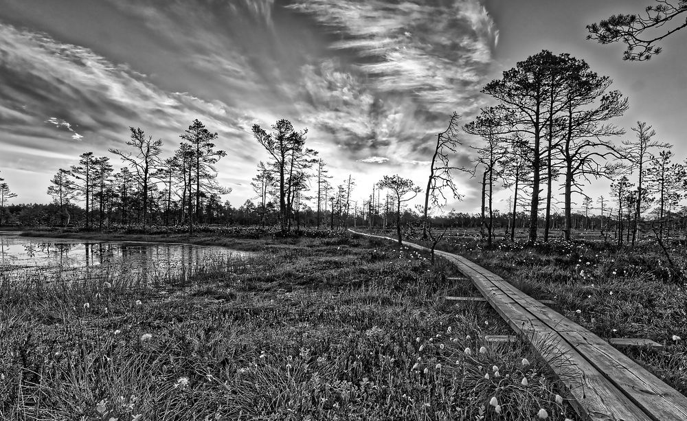По доскам, в даль.