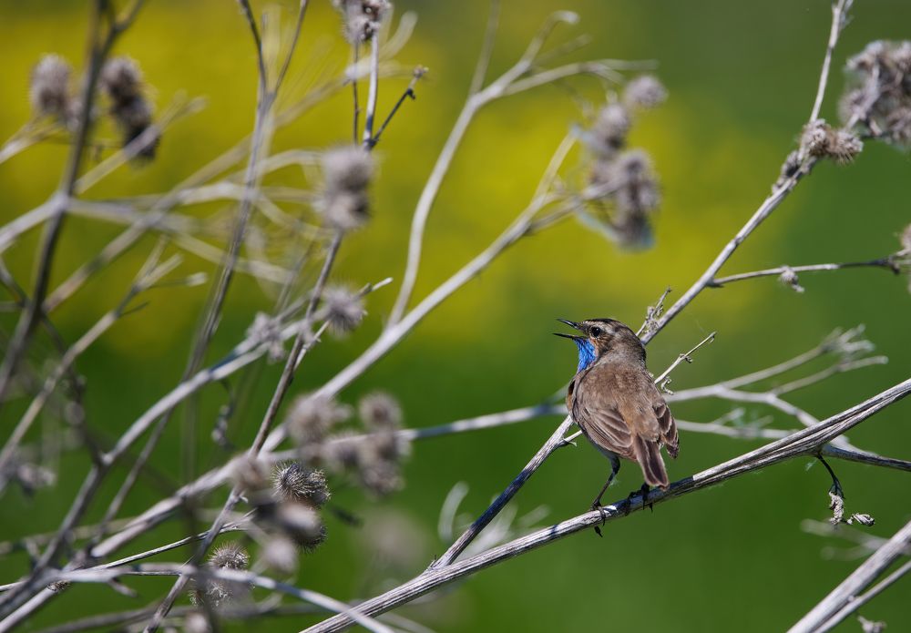 Photograph by Галина Павлова