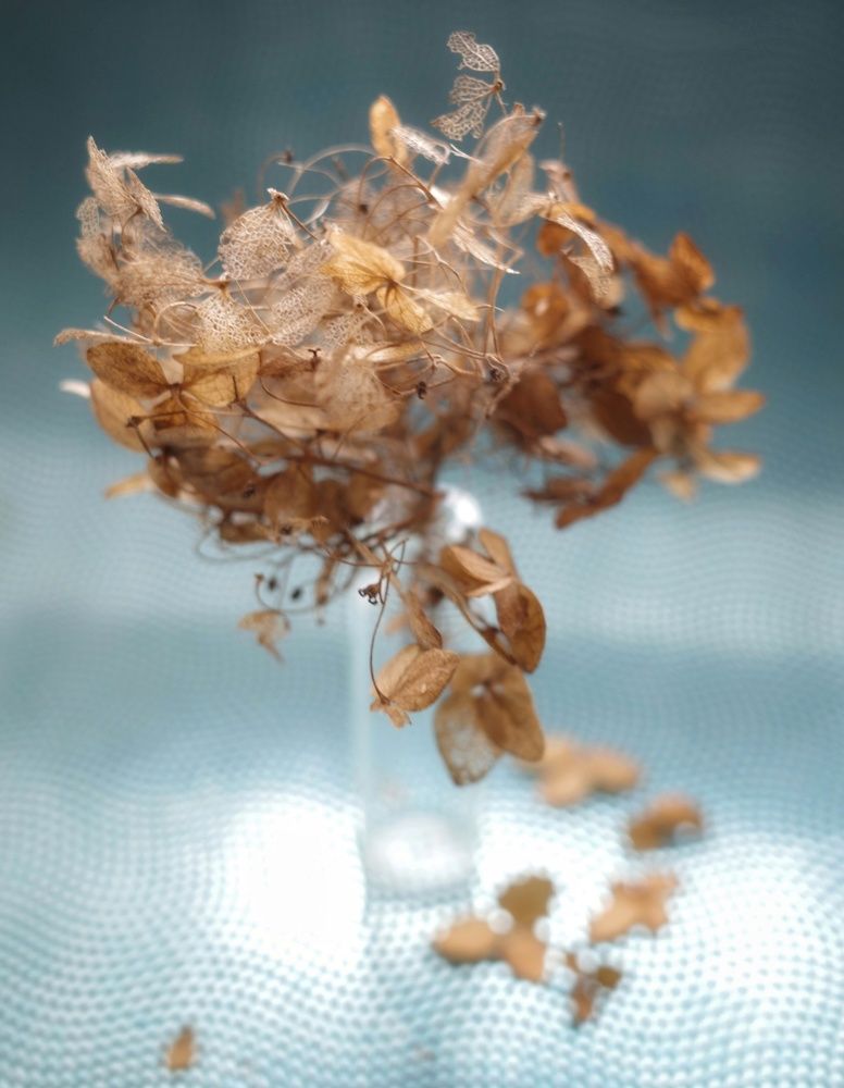 Photograph by Алла