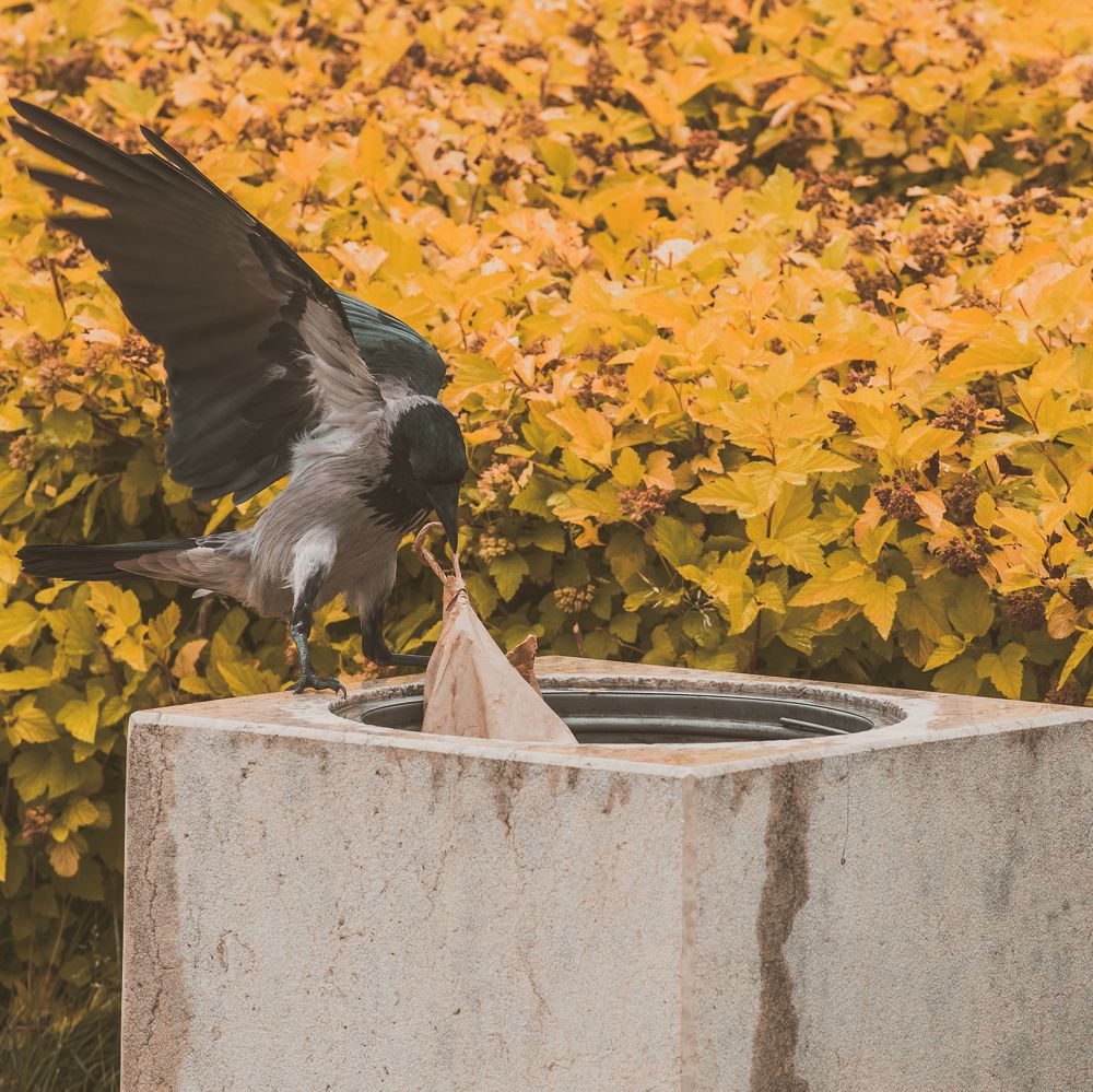 Photograph by Александр Хитров