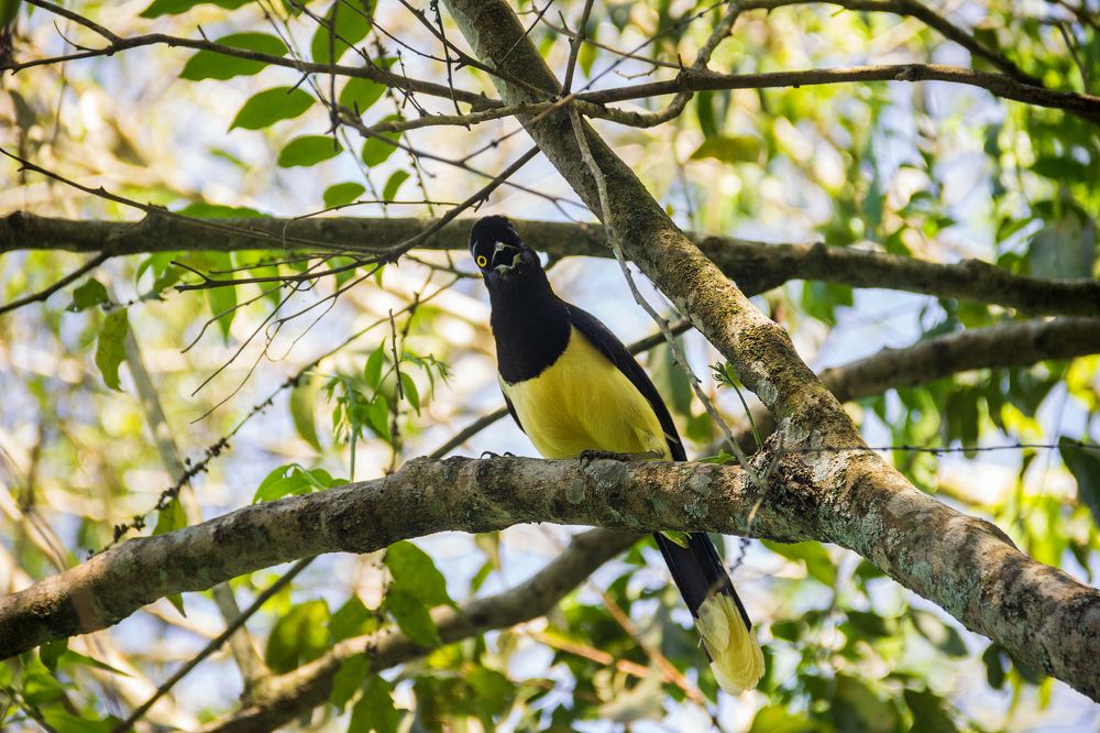 Photograph by Timur Korotkov