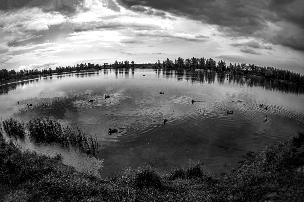 Photograph by Аня Степанова