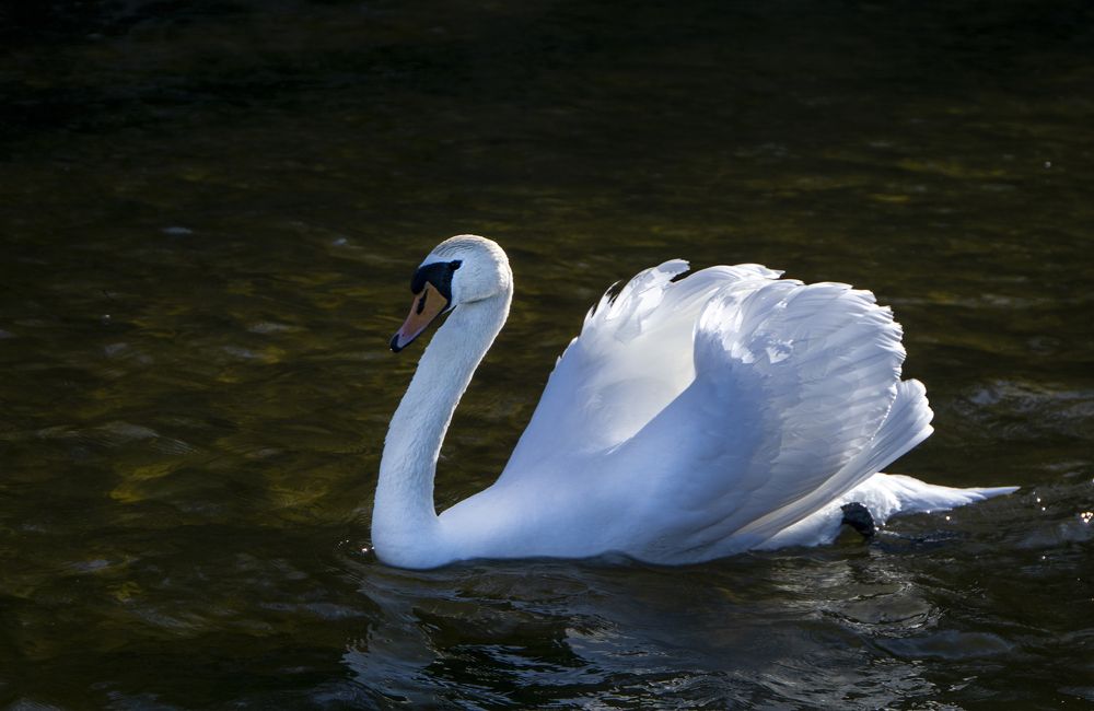 Photograph by Марина Евченко