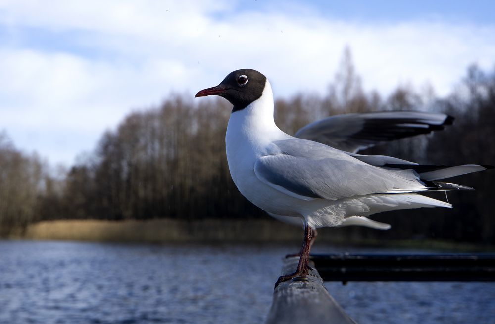 Photograph by Марина Евченко