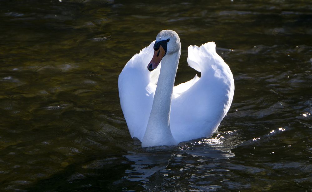 Photograph by Марина Евченко