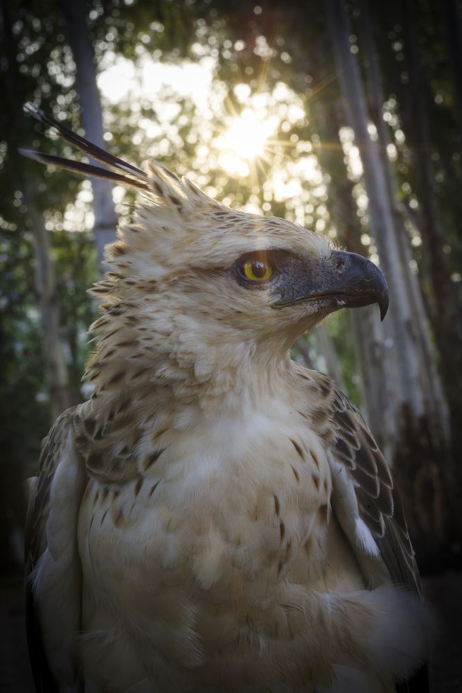 Фотография автора Thien Thanh