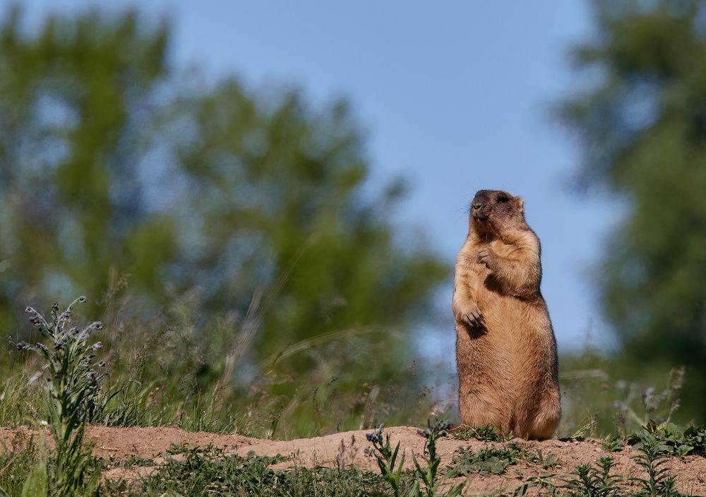 Photograph by Галина Павлова