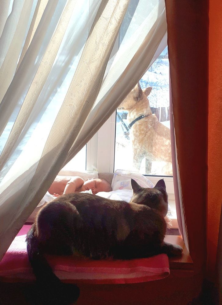 Photograph by Наталья Налобина