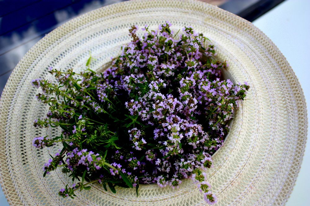 Photograph by Ольга Павлова