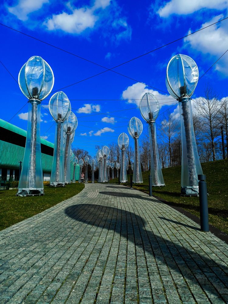 Photograph by Олег Башкуров