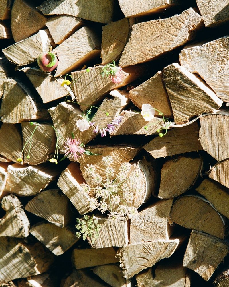 Photograph by Василий Селиванов