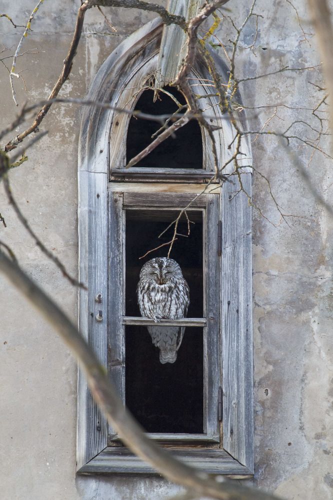 Photograph by Вячеслав Орос