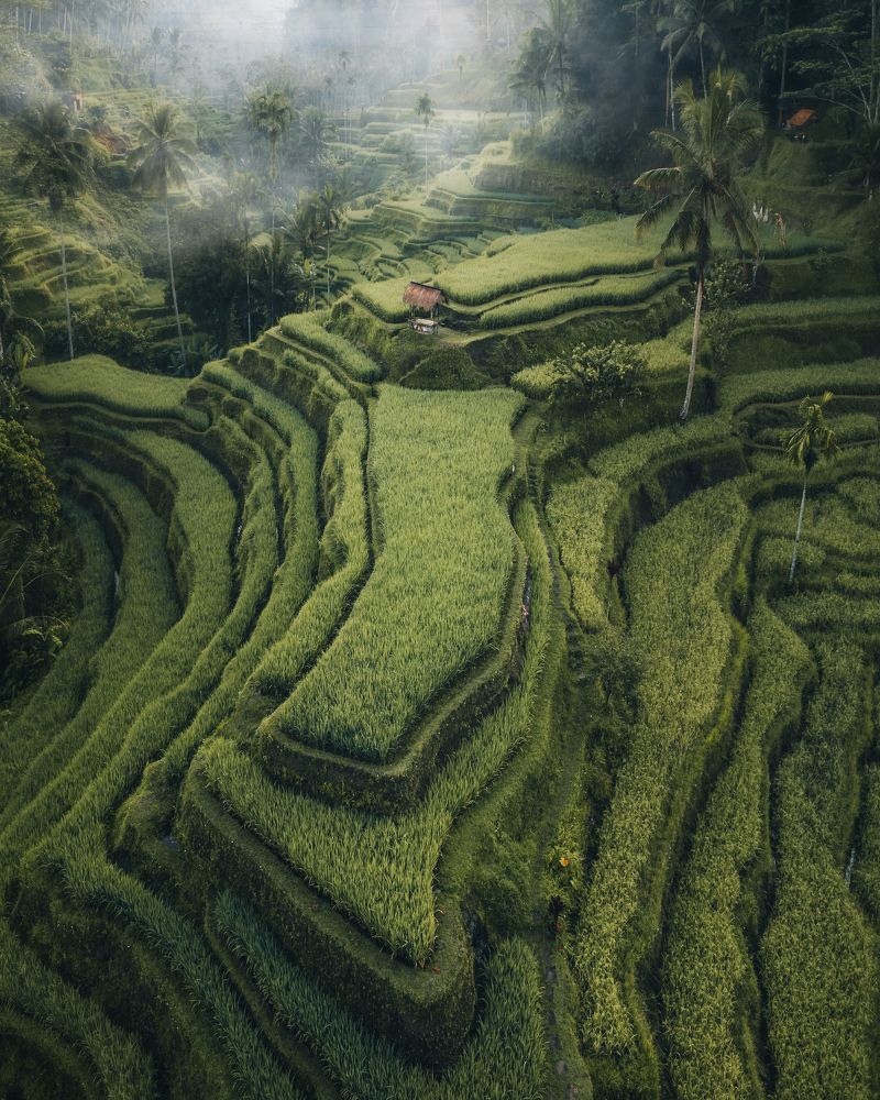 Photograph by Hidwii