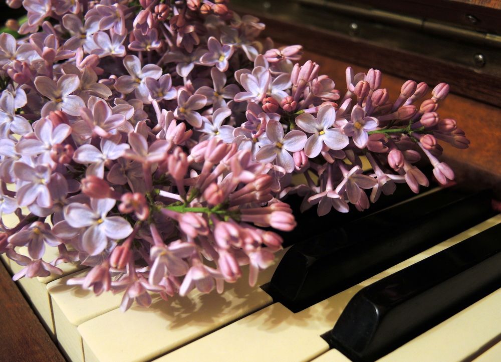 Мелодия весны