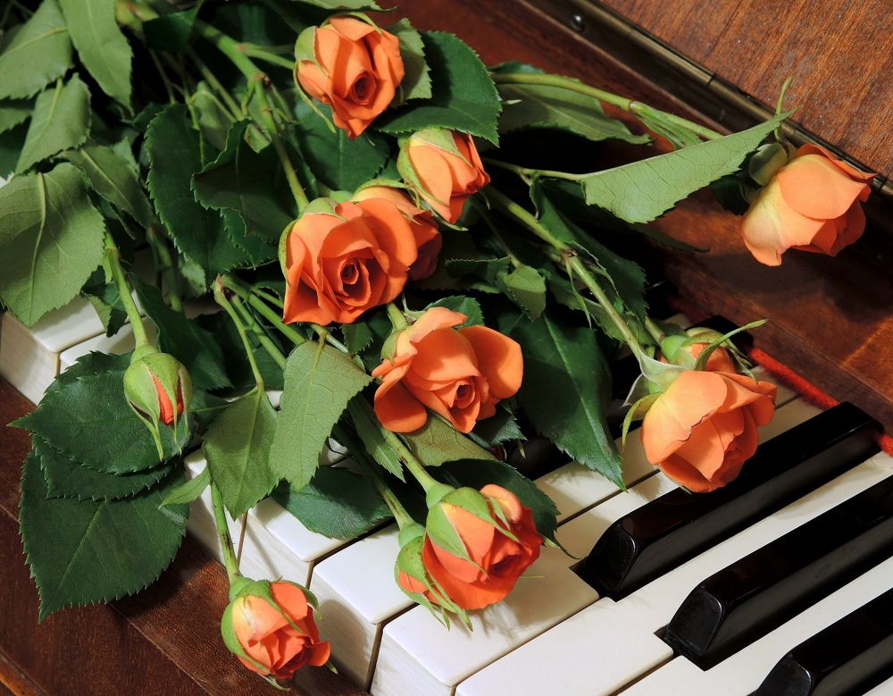 Комплимент пианисту