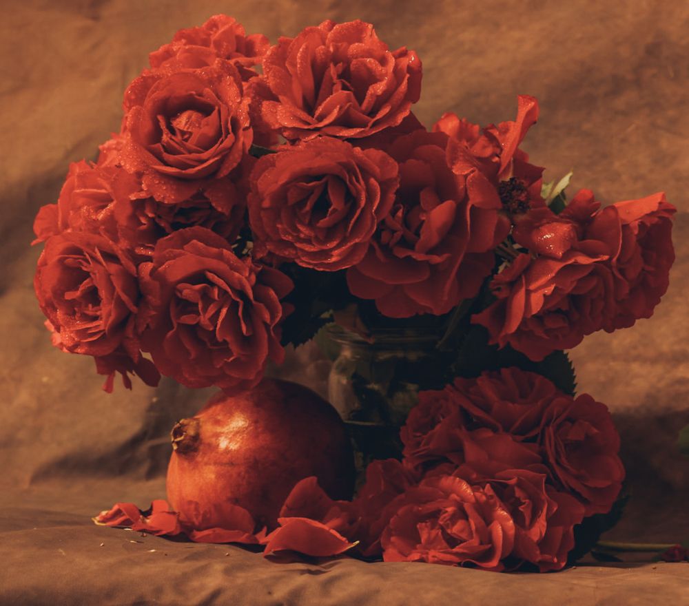 Photograph by Виктория Янушанис