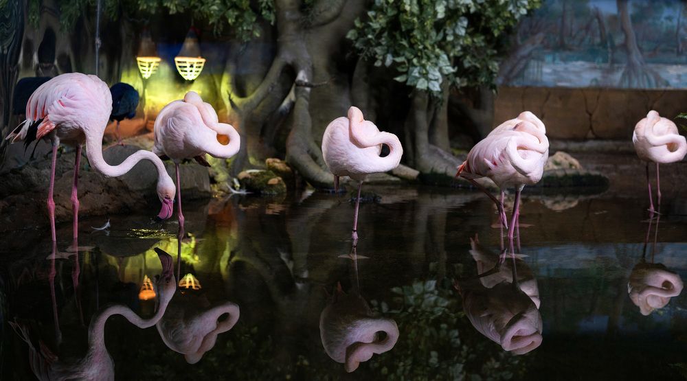 Photograph by Екатерина Панина