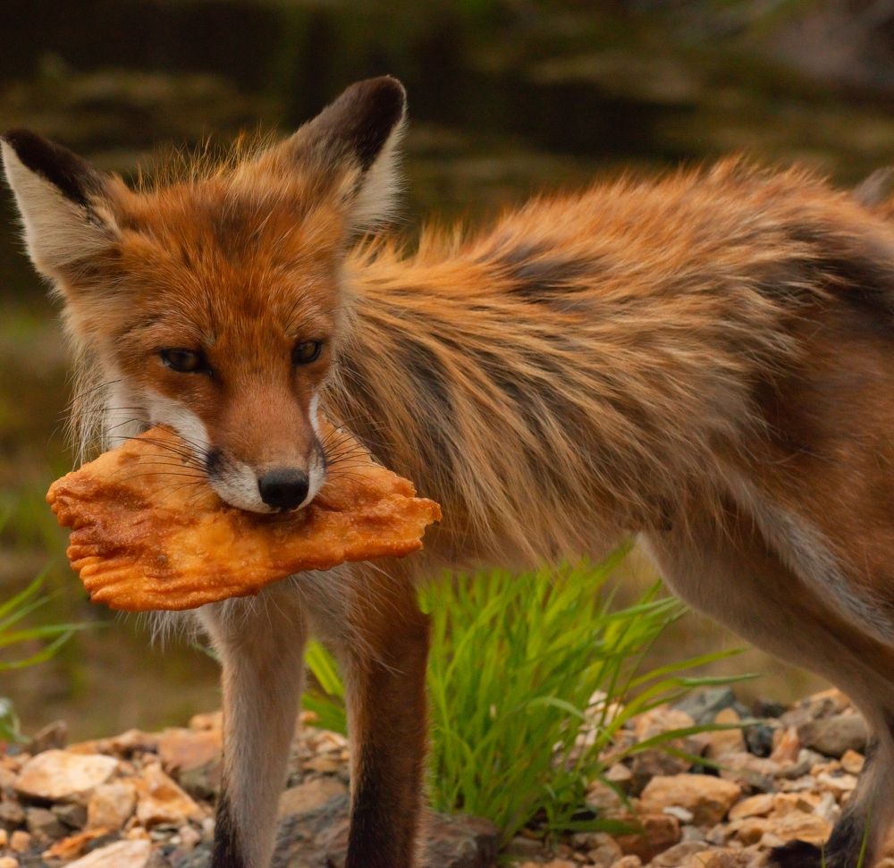 Photograph by Владимир