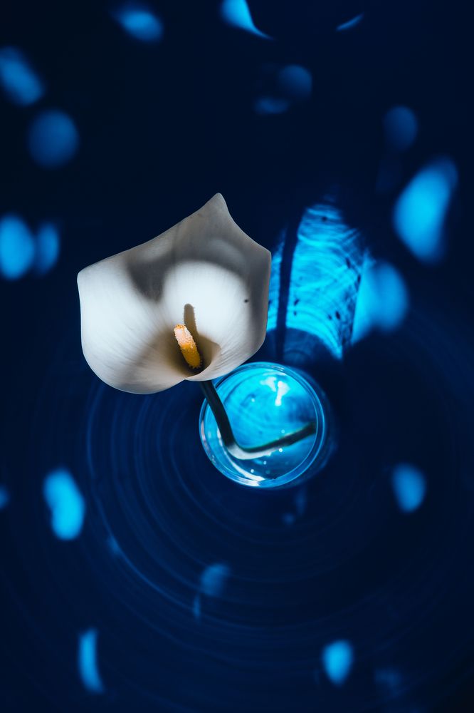 Photograph by Antonia Panagiota Davari