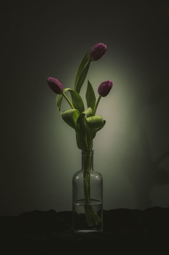 Photograph by Antonia Panagiota Davari