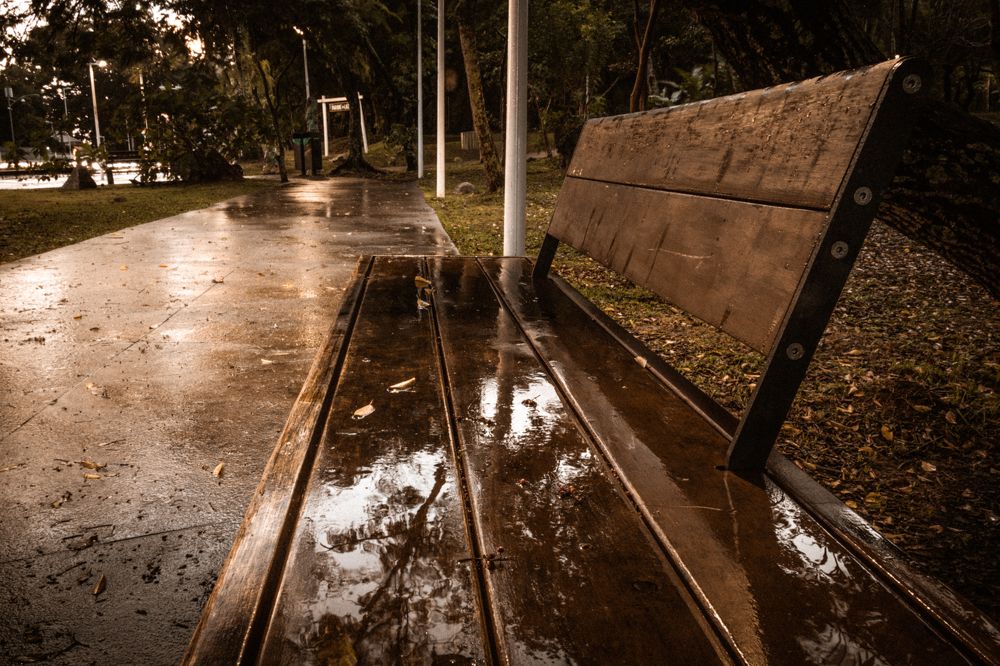 Photograph by ALEKSANDR SHAIKHTDENOV