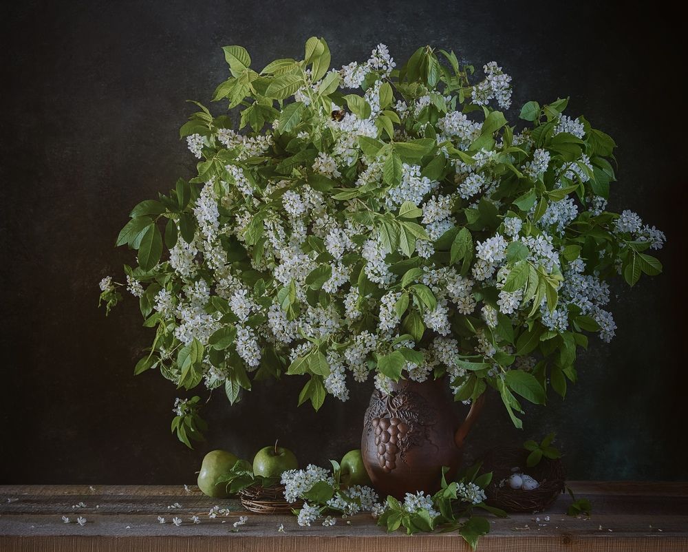 Фотография автора Виктория Шаманова