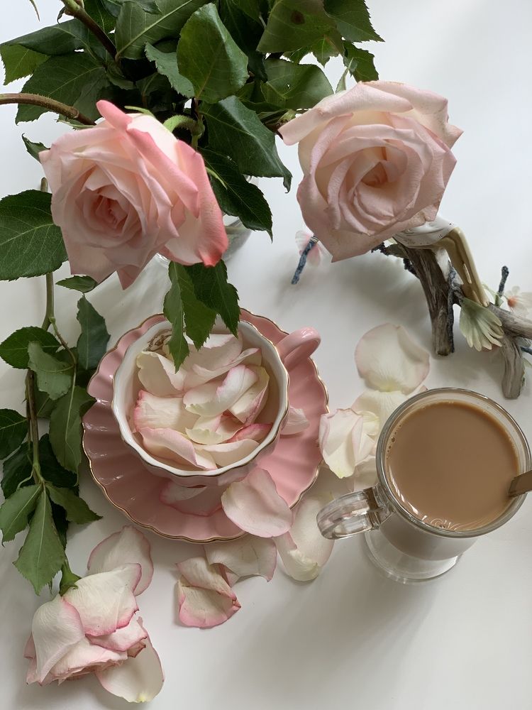 Photograph by Liliana Grup