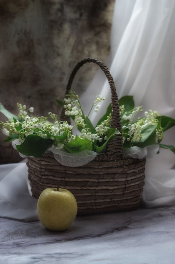 Photograph by Тамара Аржанова