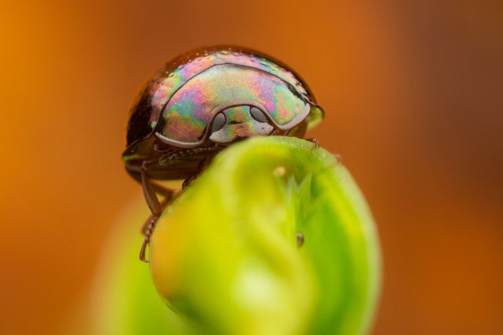 Photograph by Nicholas Ng