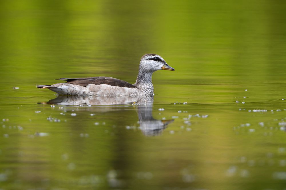 Photograph by Lucas Oh