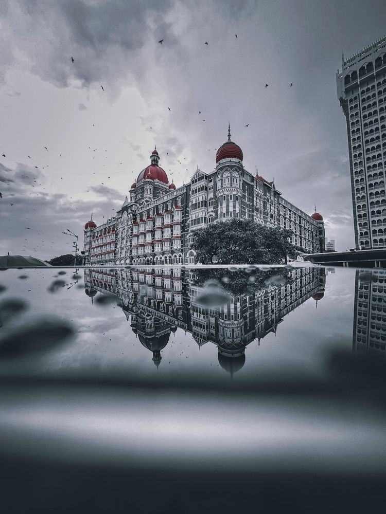 Photograph by Basid sayed