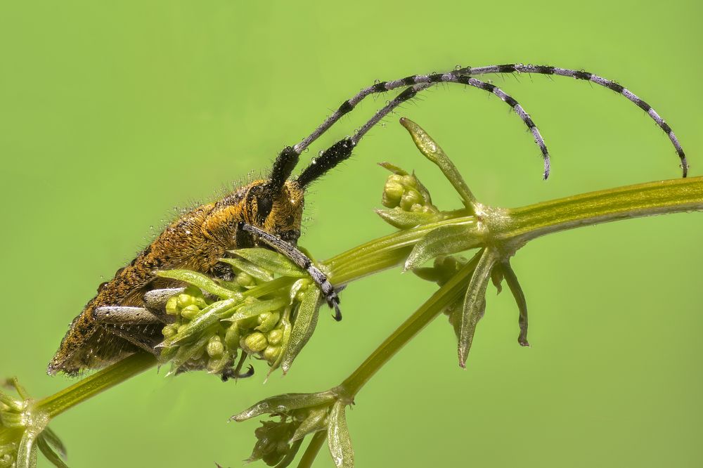 Photograph by Максим Вышарь