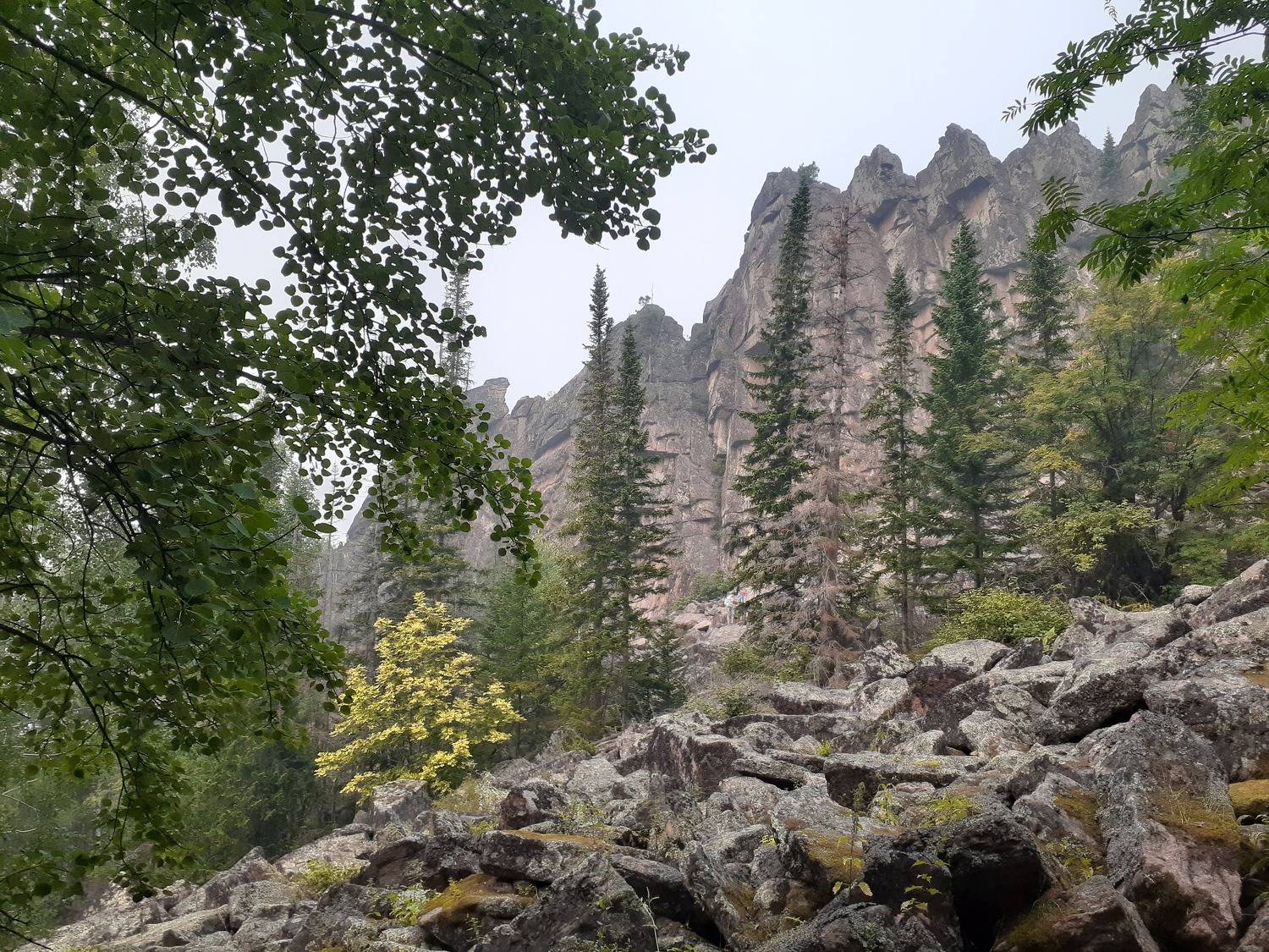 Photo #7736037