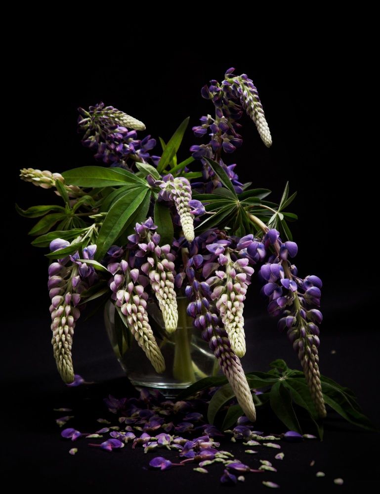 Photograph by Тамара Аржанова