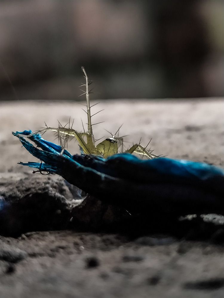 Photograph by Rooking Group