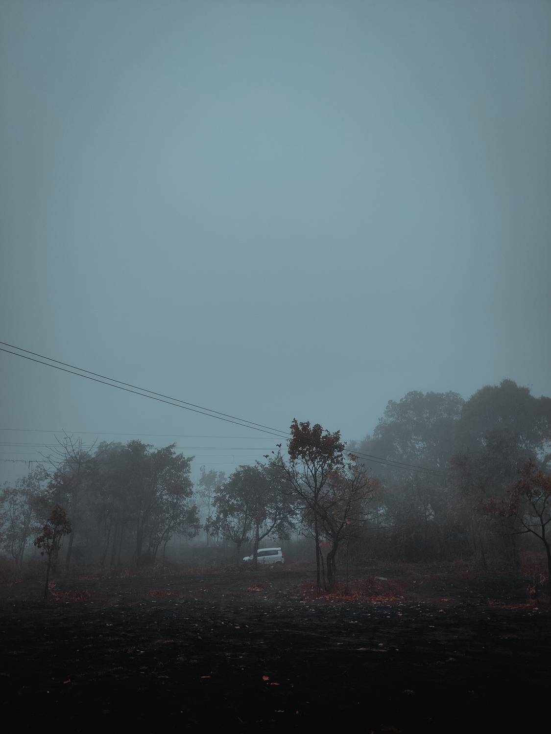 Photo #7736188