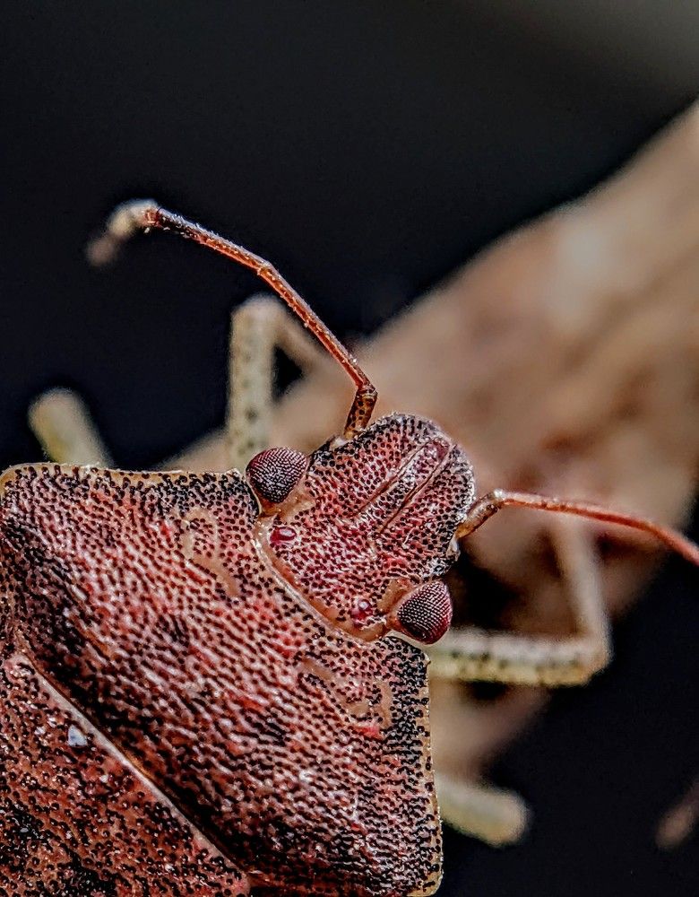 Photograph by Sai Pixels