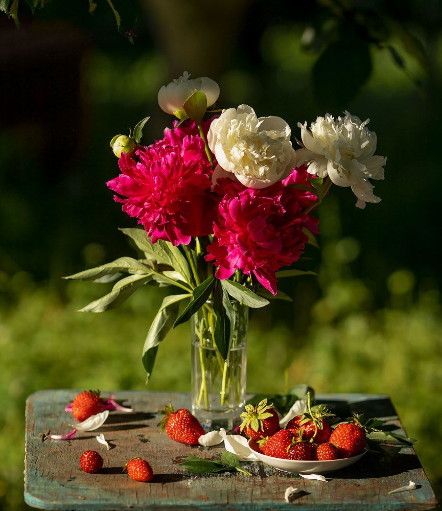 Photograph by Алена Полозкова