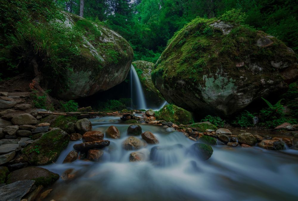 Фотография автора PRASHANT KUMAR DUBEY