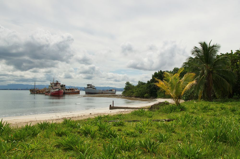 Фотография автора Андрей Неденко