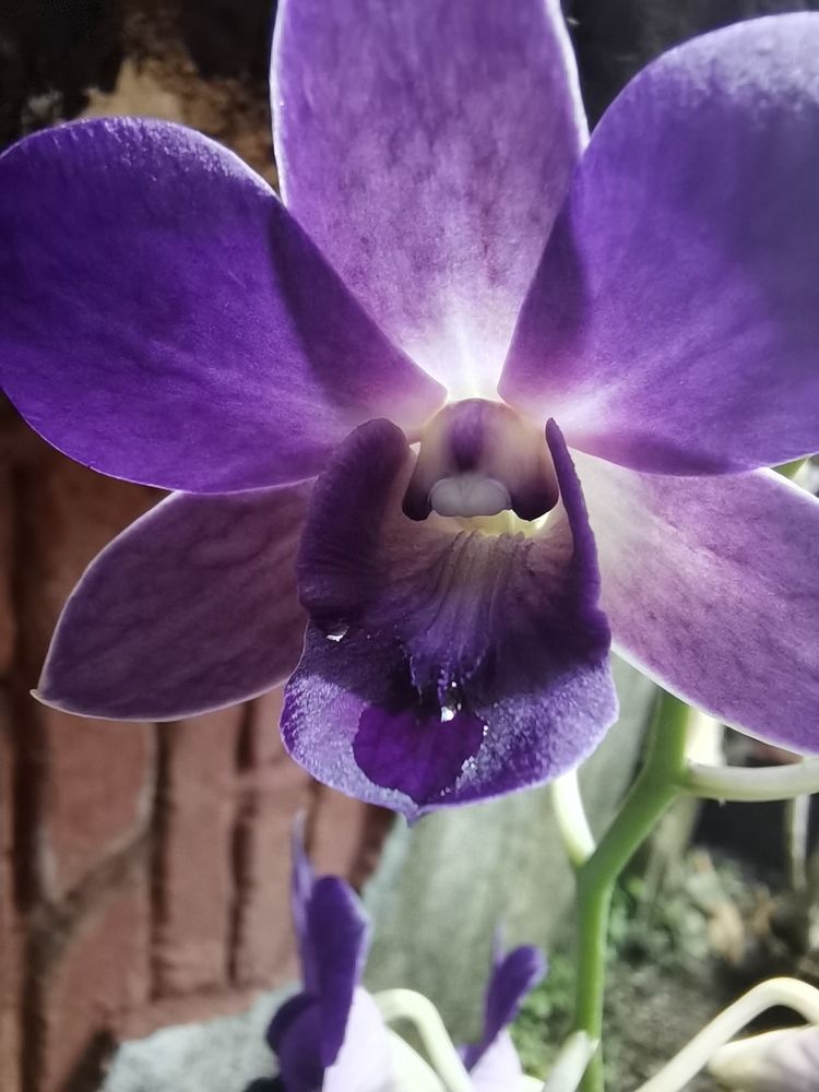 Photograph by REAHBELN ALZATE