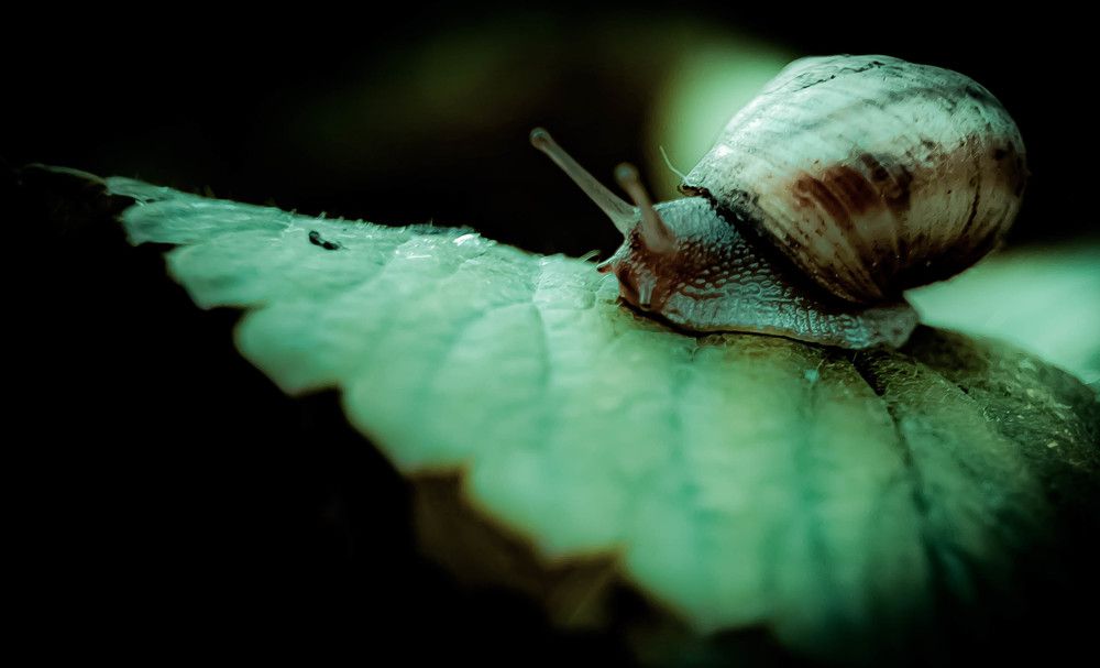 Photograph by Сергей Антонюк