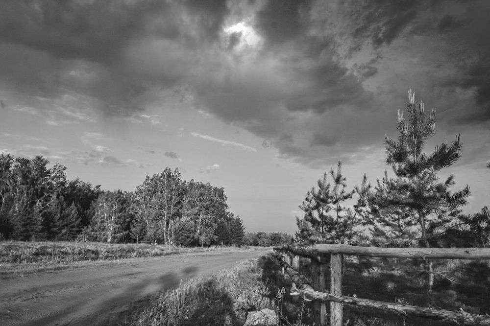 Photograph by Анжелика Трошина