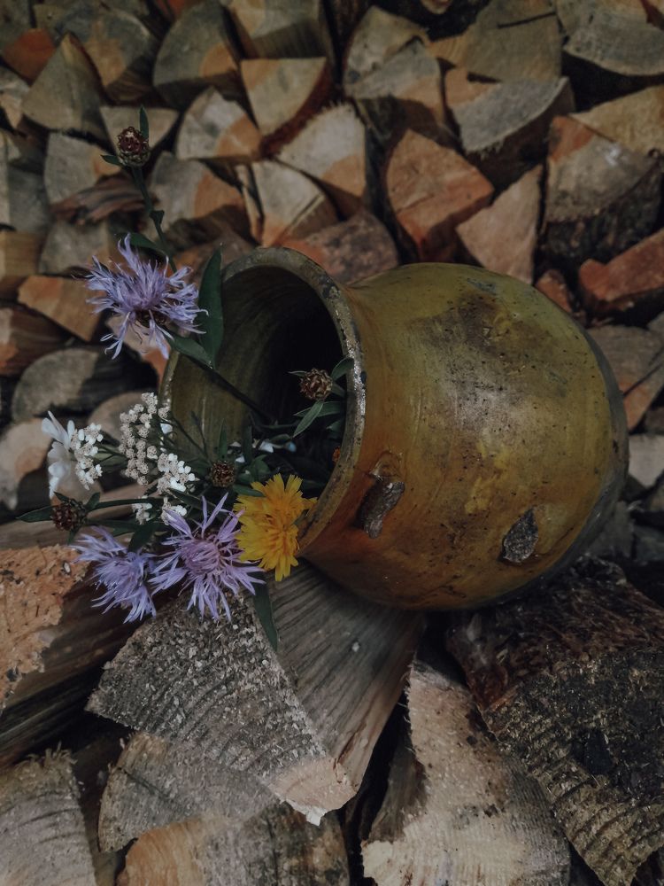 Photograph by Вероника