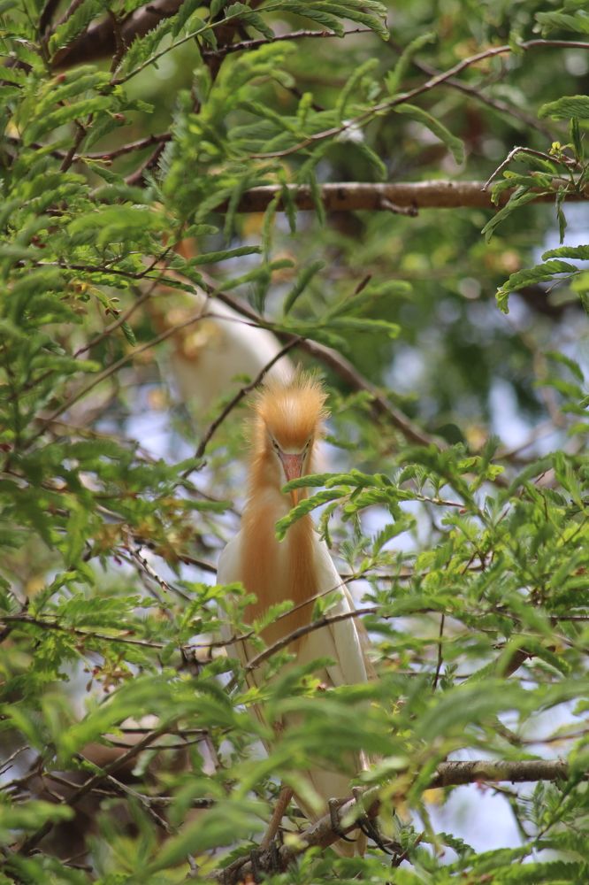 Photograph by Haresh Rabari